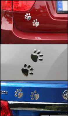 Paw Prints on vehicle