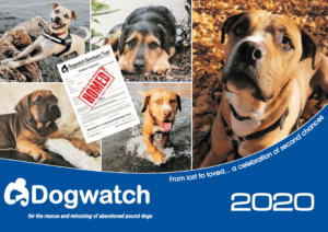 2020 Dogwatch calendar front cover