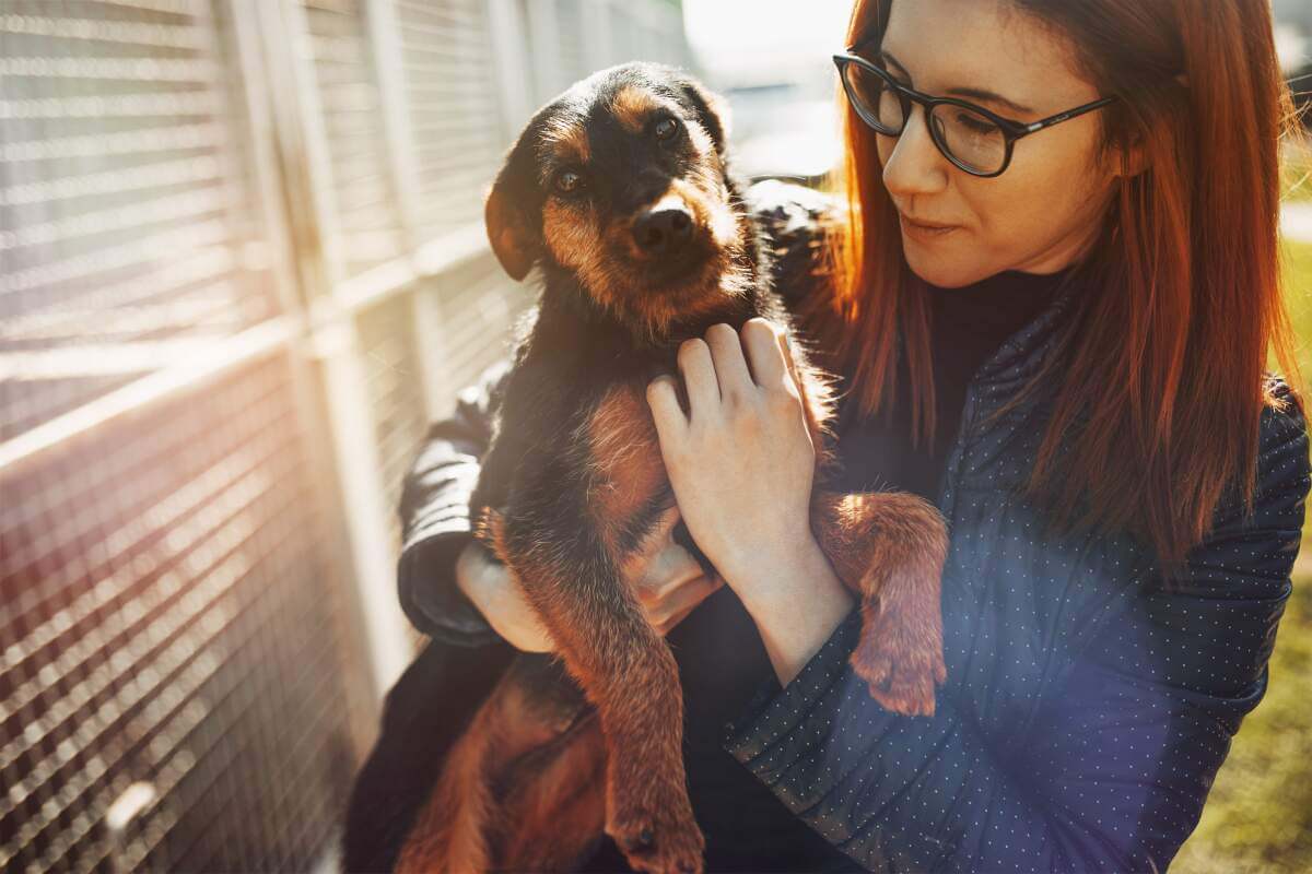 Woman holding puppy in front of kennels