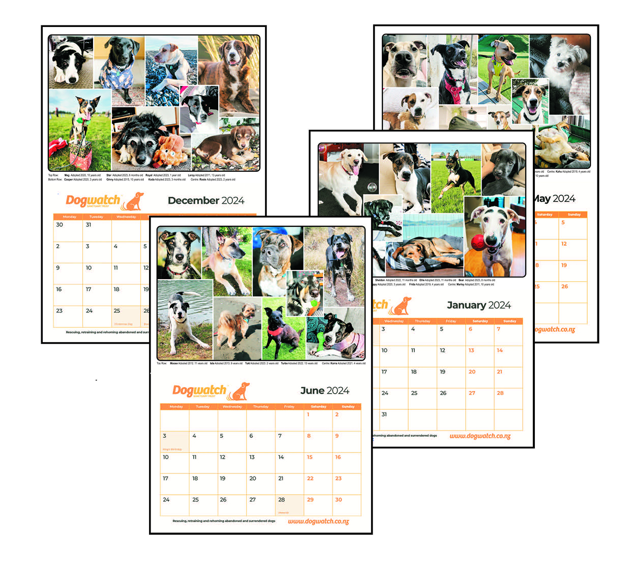 2024 Calendar – NOW HALF PRICE – Dogwatch Sanctuary Trust