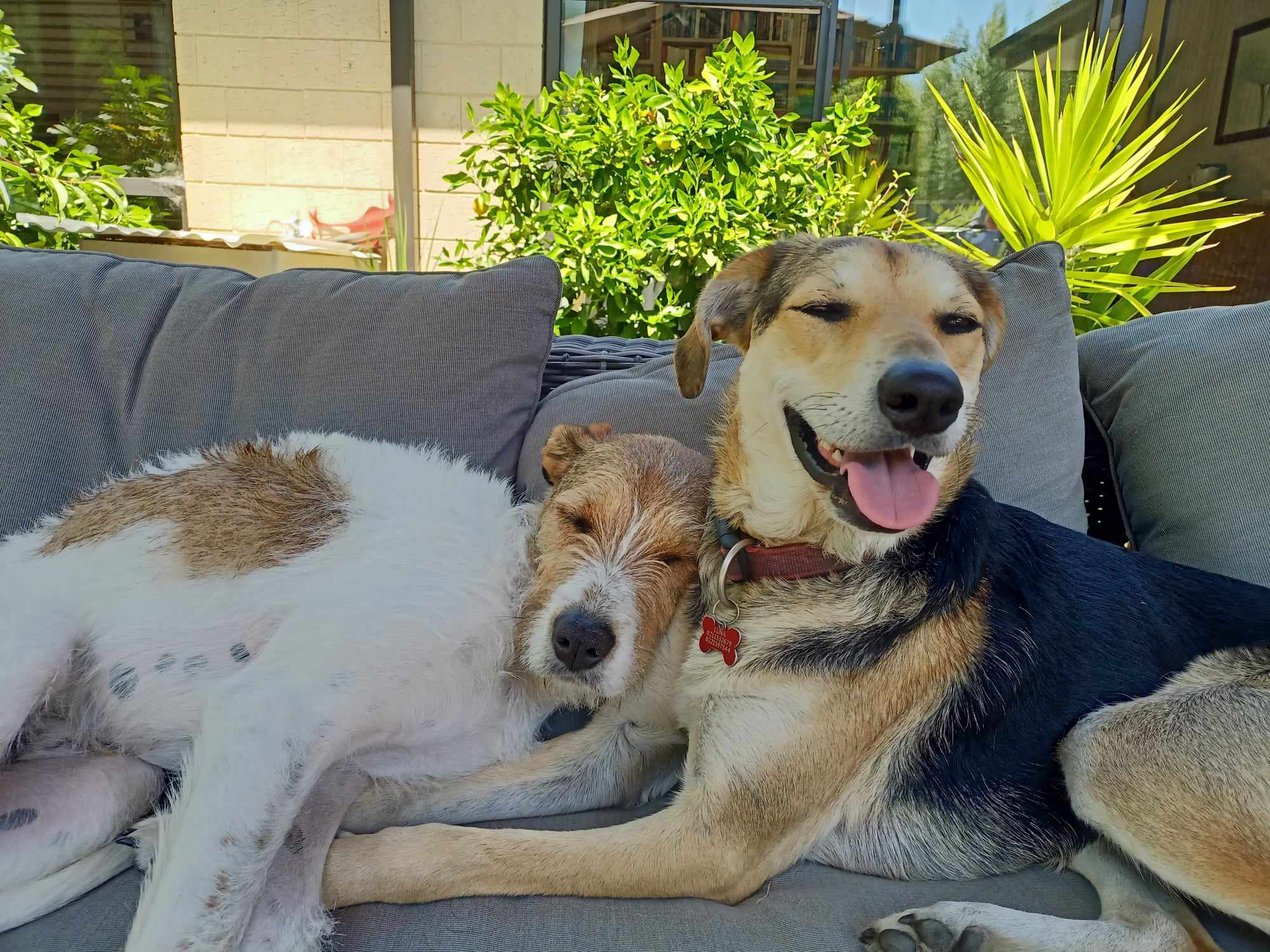 Magic & Luna