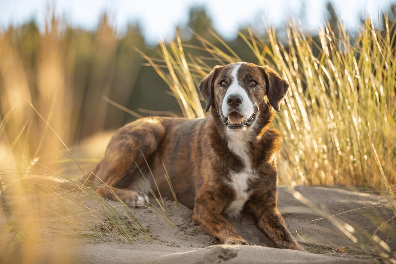 blog-leroy-1