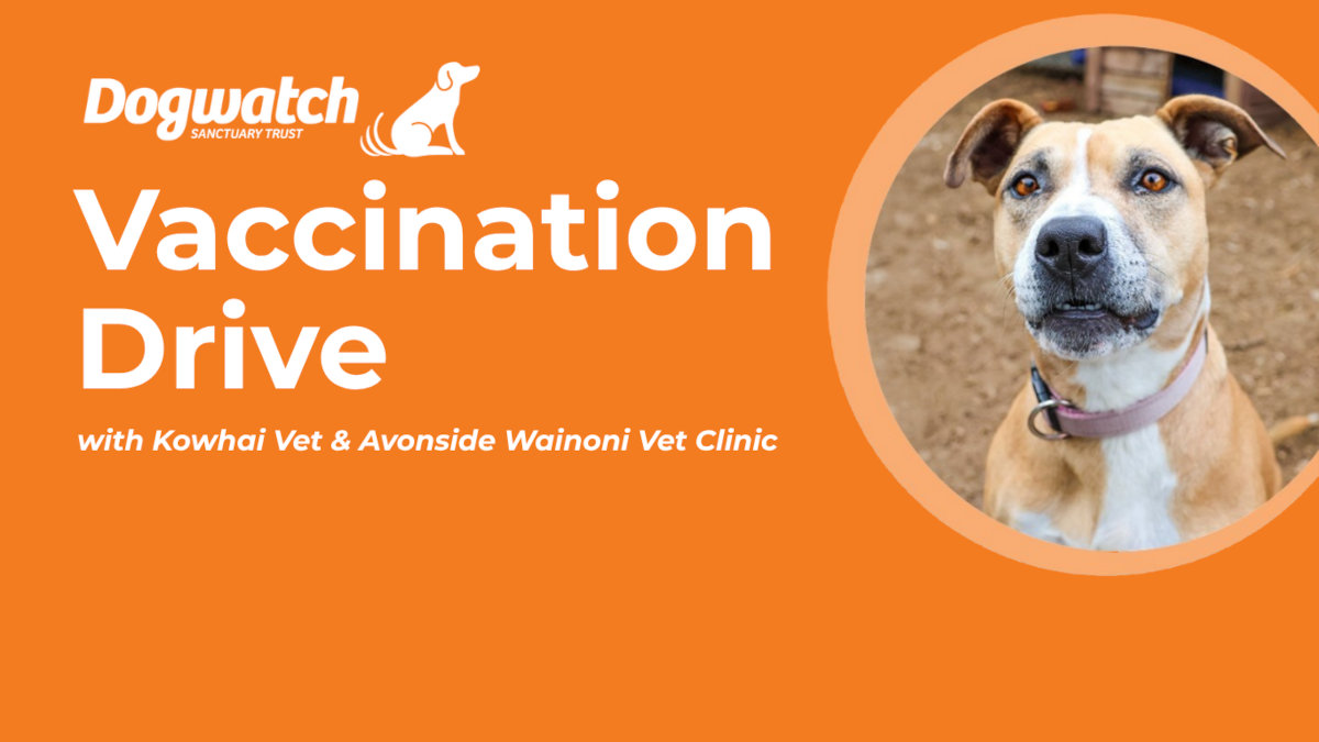 vax-drive-banner Vaccinatino drive with Kowhai Vet and Avonside Wainoni Vet Clinic