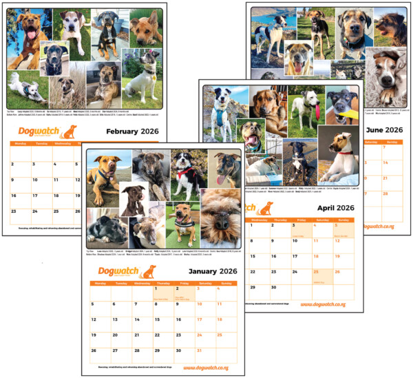 2026 Calendar - Image 2